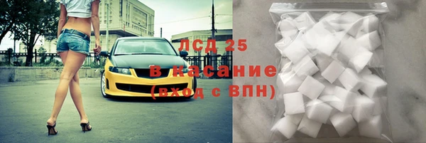 прущие грибы Балабаново