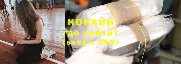 прущие грибы Балабаново
