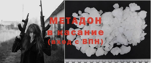 прущие грибы Балабаново