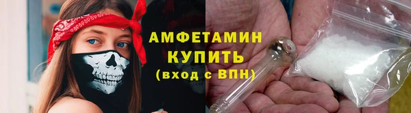 прущие грибы Балабаново