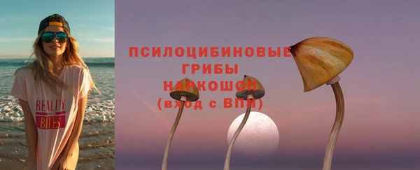 прущие грибы Балабаново