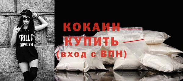 прущие грибы Балабаново