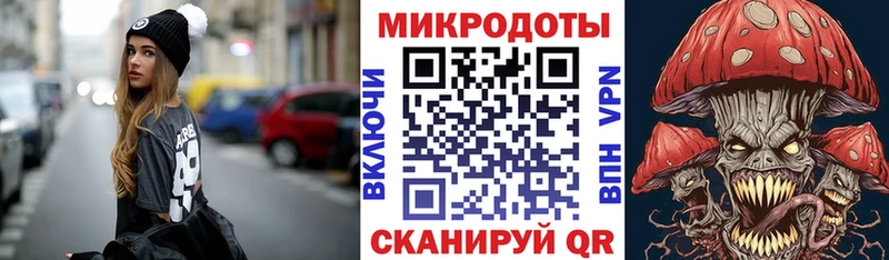 Галлюциногенные грибы Psilocybe  Гай 