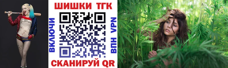 Бошки Шишки план  Гай 